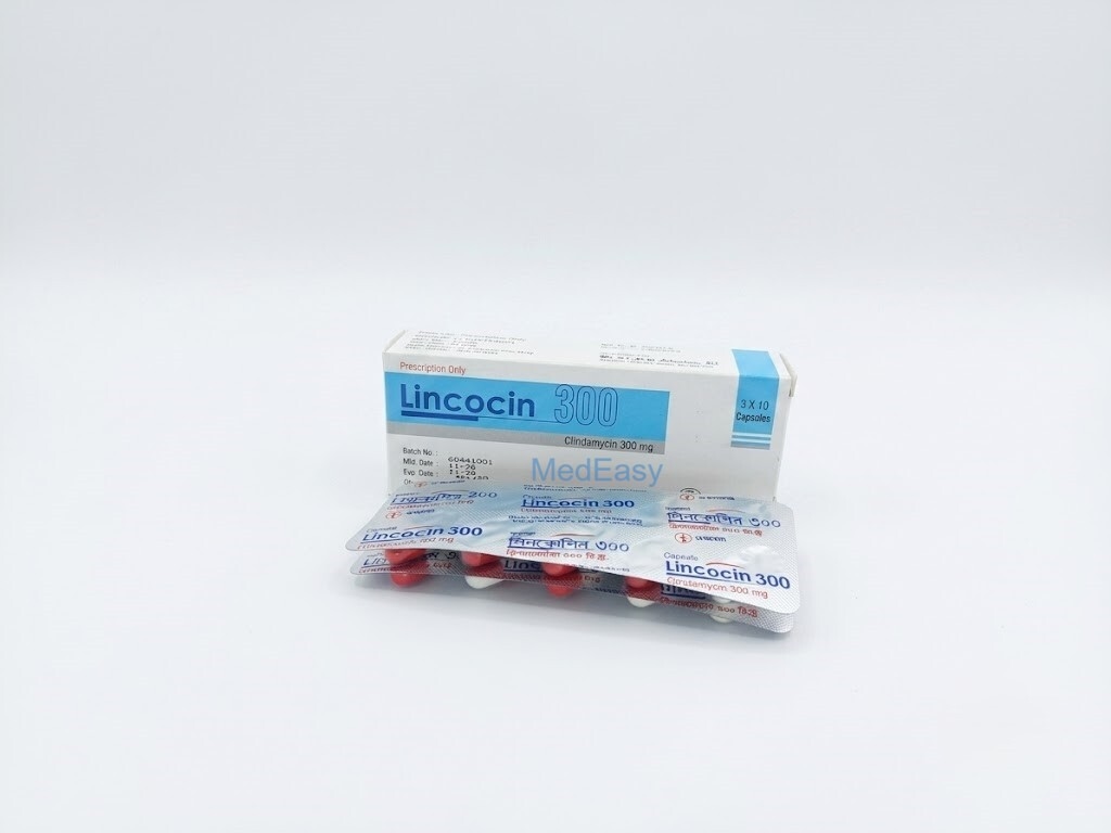 Lincocin