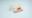 Fastel
